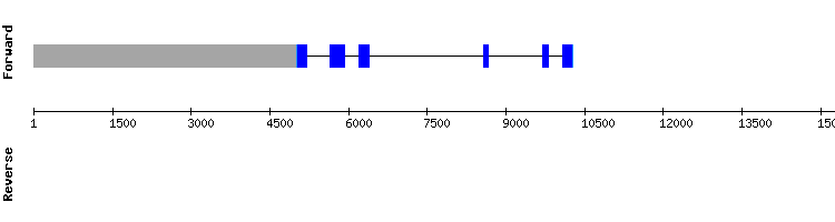 gene structure
