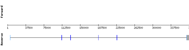 gene structure