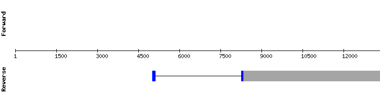 gene structure