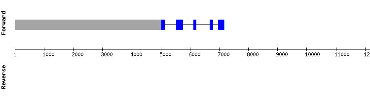 gene structure