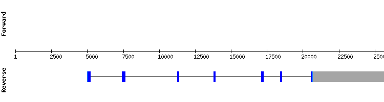 gene structure