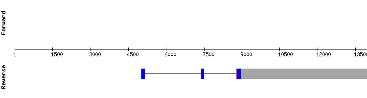 gene structure