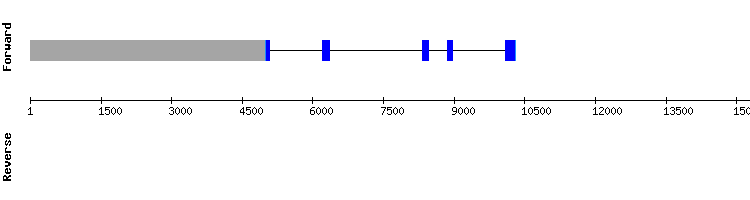 gene structure