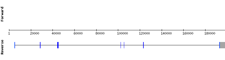 gene structure