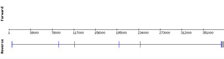 gene structure