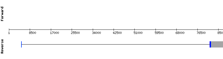 gene structure