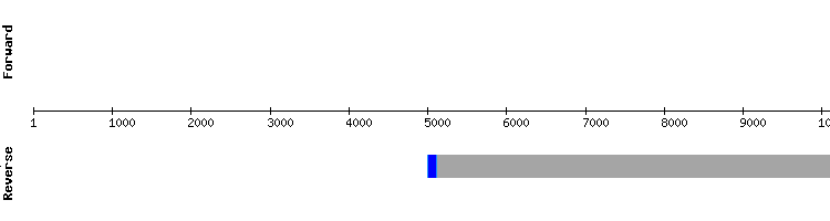 gene structure