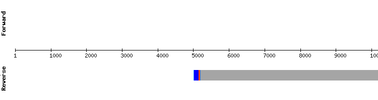 gene structure