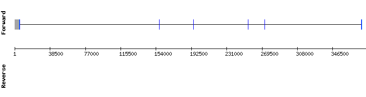 gene structure