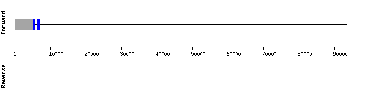 gene structure