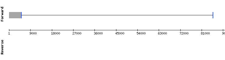 gene structure