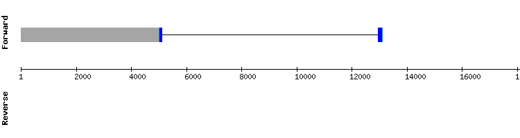 gene structure