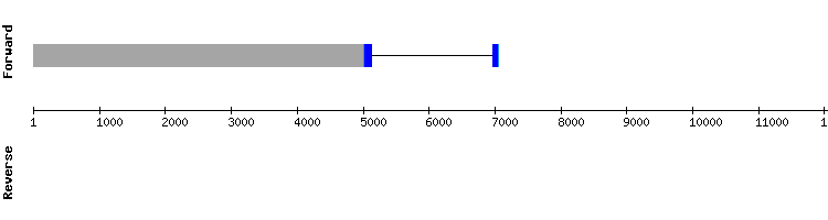 gene structure