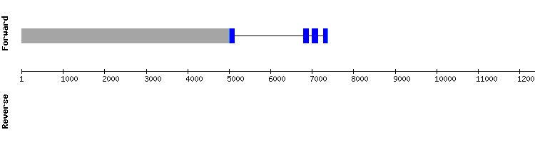 gene structure