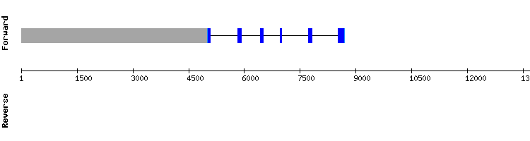 gene structure