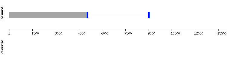 gene structure