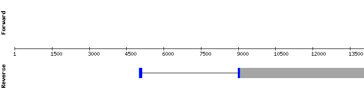 gene structure