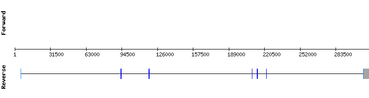 gene structure
