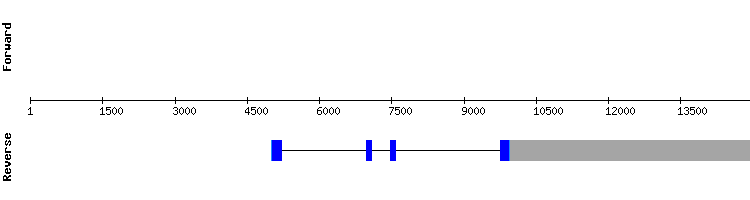 gene structure