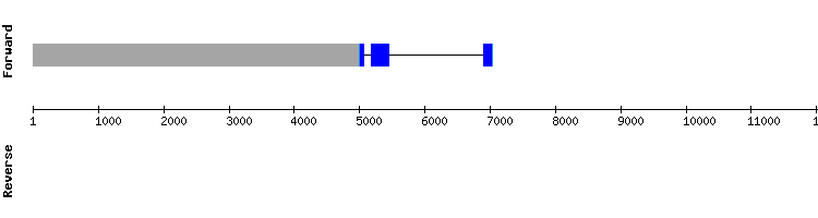 gene structure