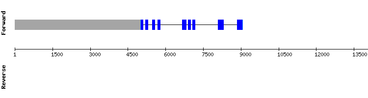 gene structure