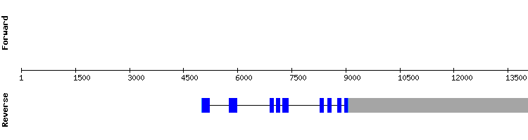 gene structure