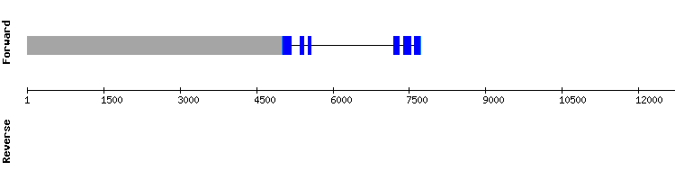 gene structure