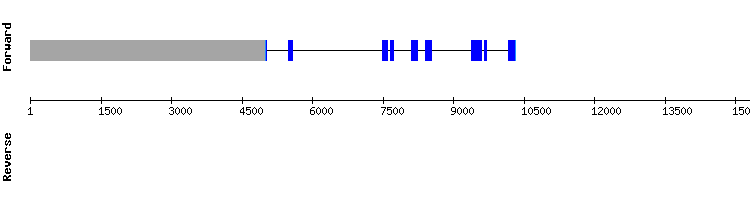 gene structure