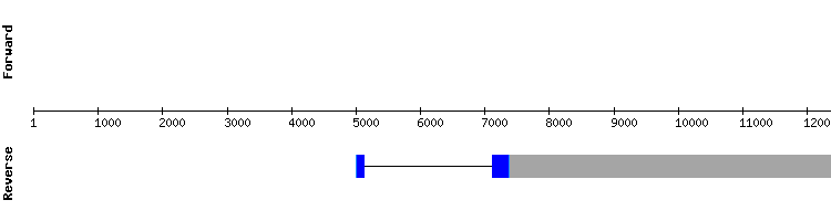 gene structure