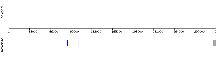 gene structure