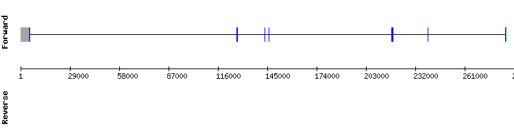 gene structure