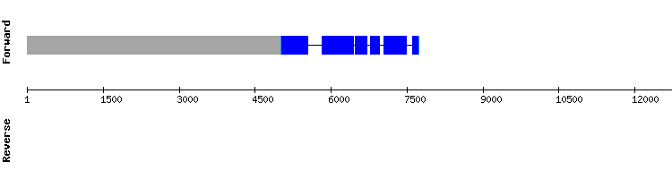 gene structure