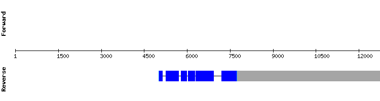gene structure
