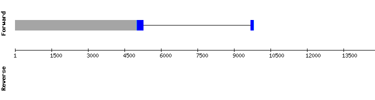 gene structure