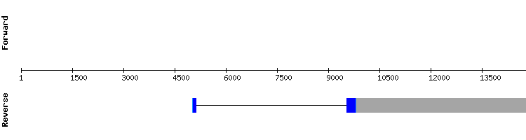 gene structure