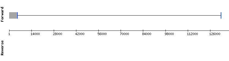 gene structure