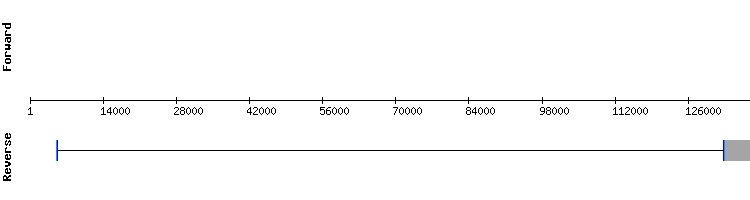 gene structure