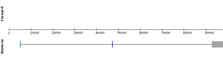 gene structure