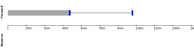 gene structure
