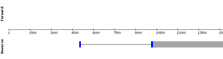gene structure