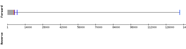 gene structure