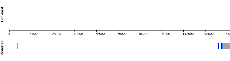 gene structure