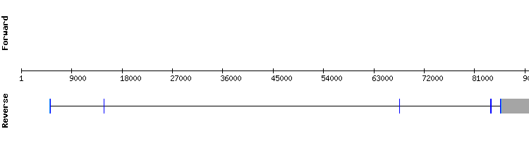 gene structure
