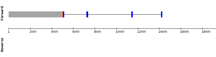 gene structure