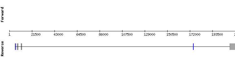 gene structure