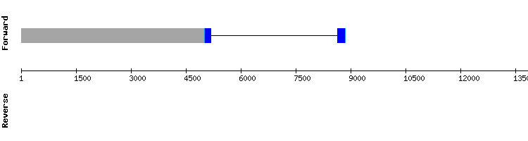 gene structure