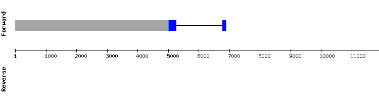 gene structure