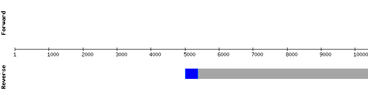 gene structure
