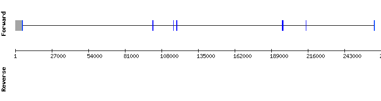 gene structure