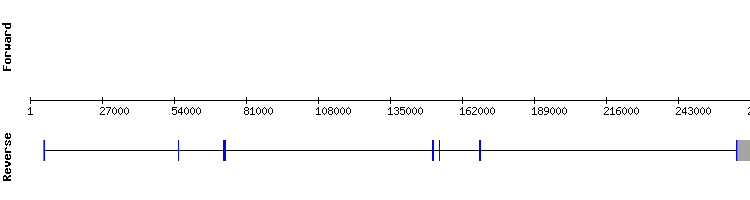 gene structure